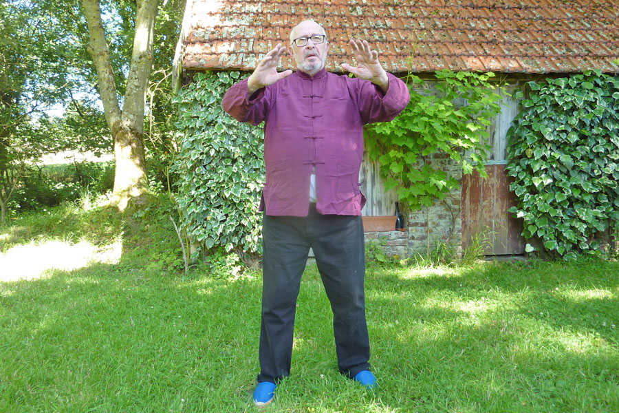 Georges Charles, Tao Qi Gong et Shiatsu - © Georges Charles - Qi Gong Georges Charles, Tao Qi Gong et Shiatsu - © Georges Charles - Qi Gong