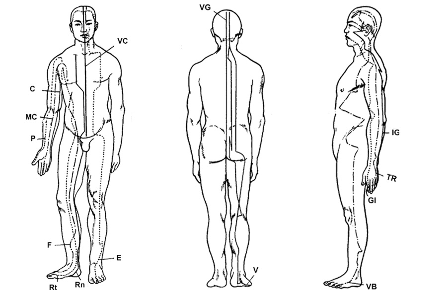 Les méridiens « énergétiques» - Les 12 méridiens primaires, classiques ou ordinaires