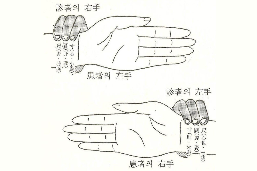 Chronique « Shiatsu thérapeutique ? »  - © Shiatsu-France.com 