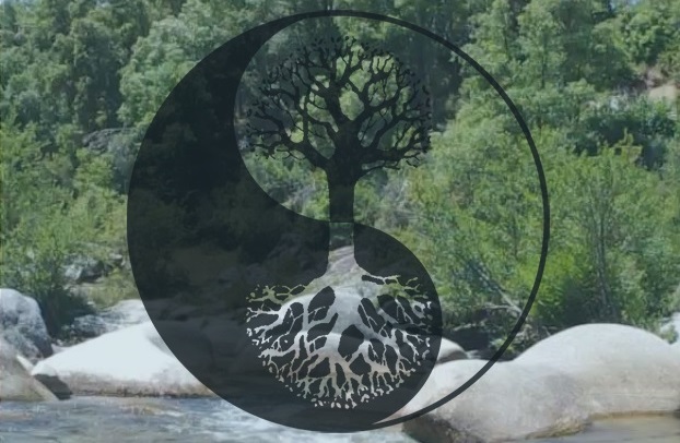 Aubert SHIATSU : infos, localisation, contacts... pour ce centre de shiatsu