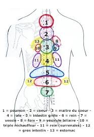Cabinet Shiatsu Muriel Moulines à Lyon Croix rousse : infos, localisation, contacts... pour ce centre de shiatsu