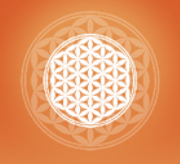 Fleur Szabo Shiatsu 78