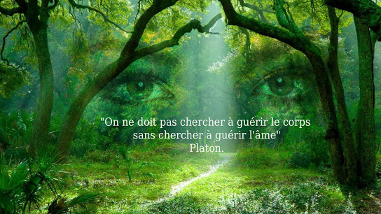 Gwendoline CARRE -hypnothérapeute et Shiatsu Traditionnel 37