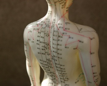 Samira LABAT Zen Shiatsu 33