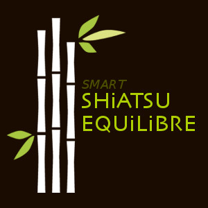 Hervé Guillemot - Shiatsu Equilibre 56