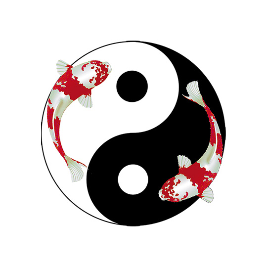 SHIATSU-KOI : infos, localisation, contacts... pour ce centre de shiatsu