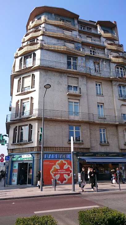 Shiatsu Loire - Emilie Meyer 49