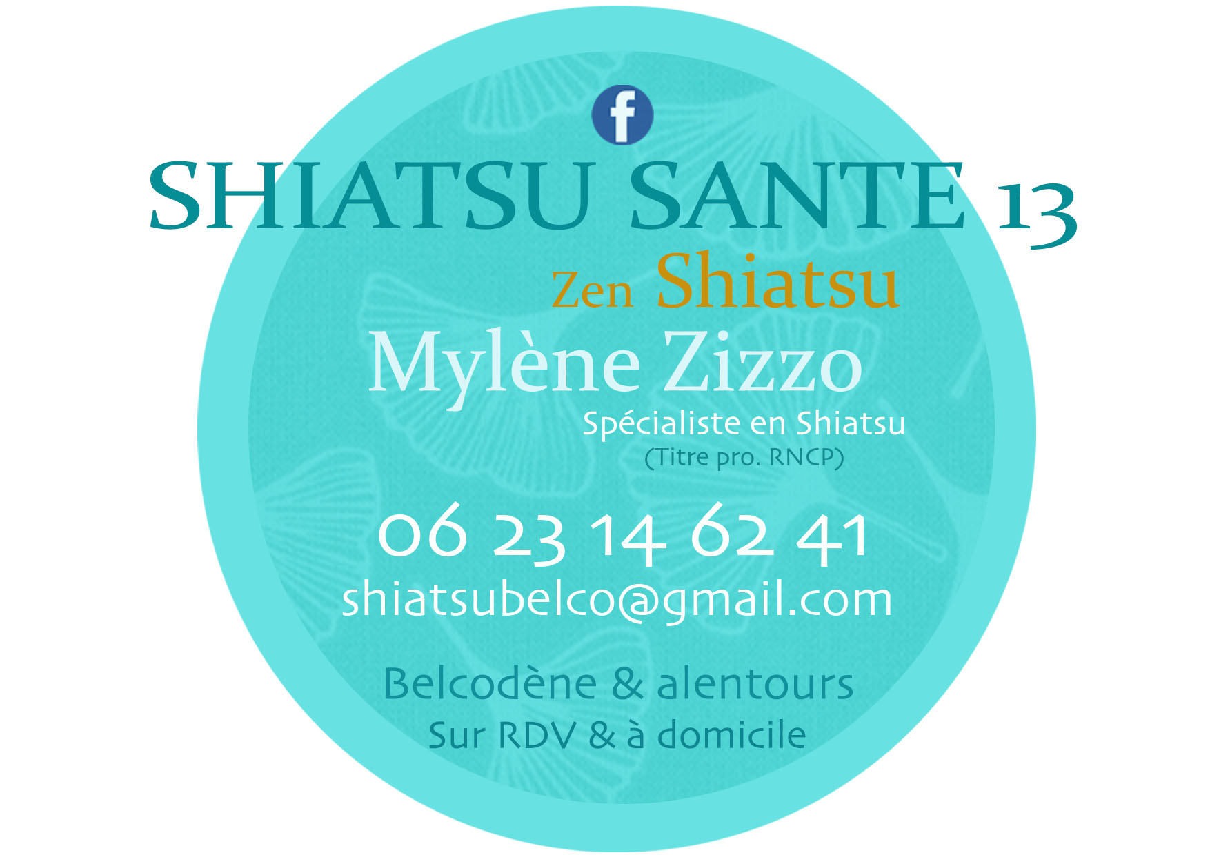 Shiatsu Santé 13 13