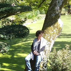 SHIATSU ZENITUDE : infos, localisation, contacts... pour ce centre de shiatsu
