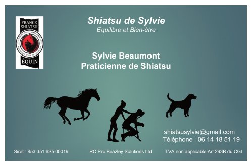 Shiatsusylvie 45